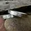 Thumbnail: Hare Bangle in Pewter