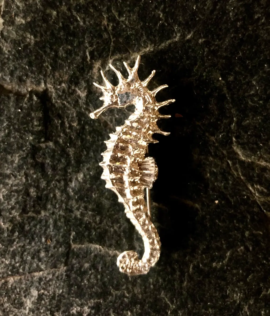 Seahorse Brooch in Silver