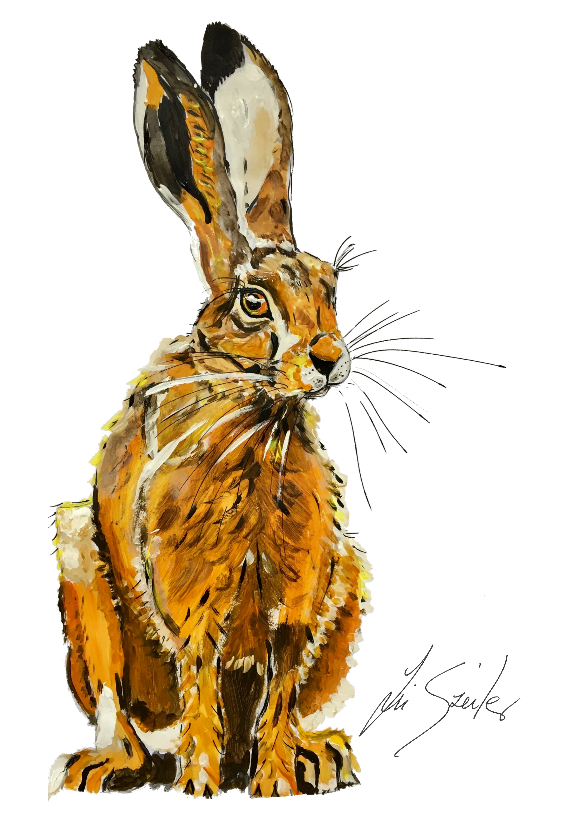 Hare Sitting Patiently