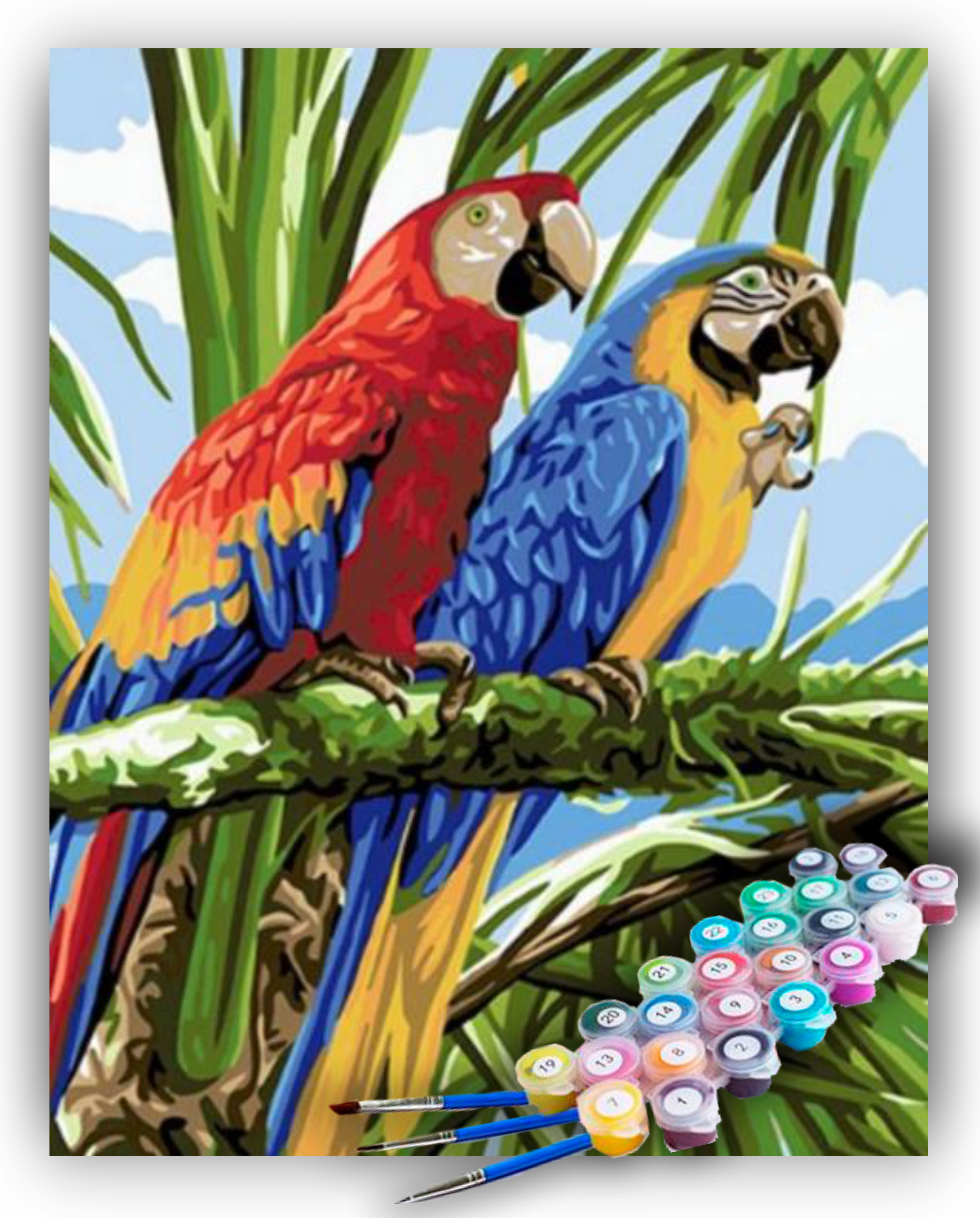 Telas Dadeni Pintura Numerada Casal de Araras 40x50cm