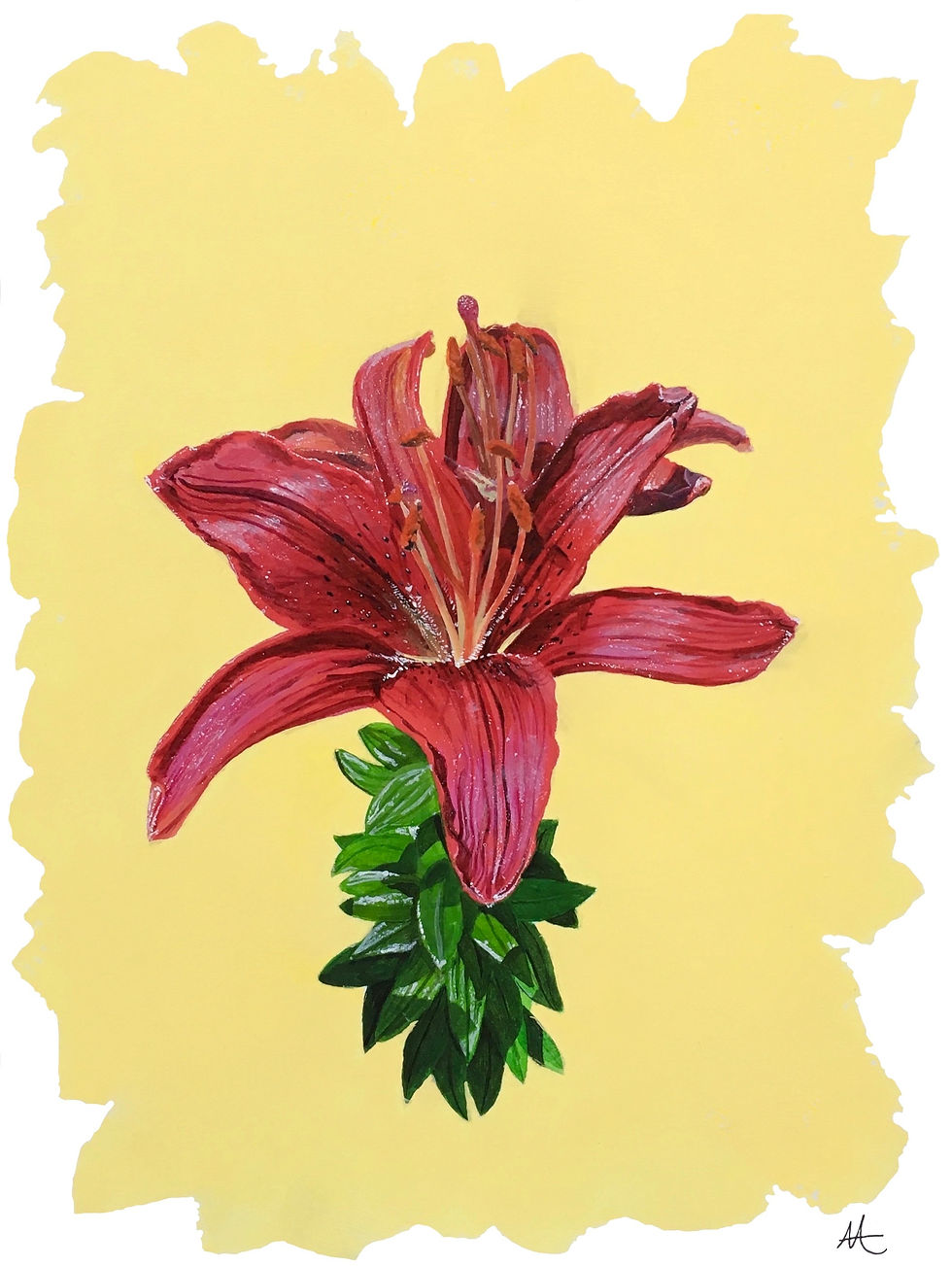 Summer Lily Print