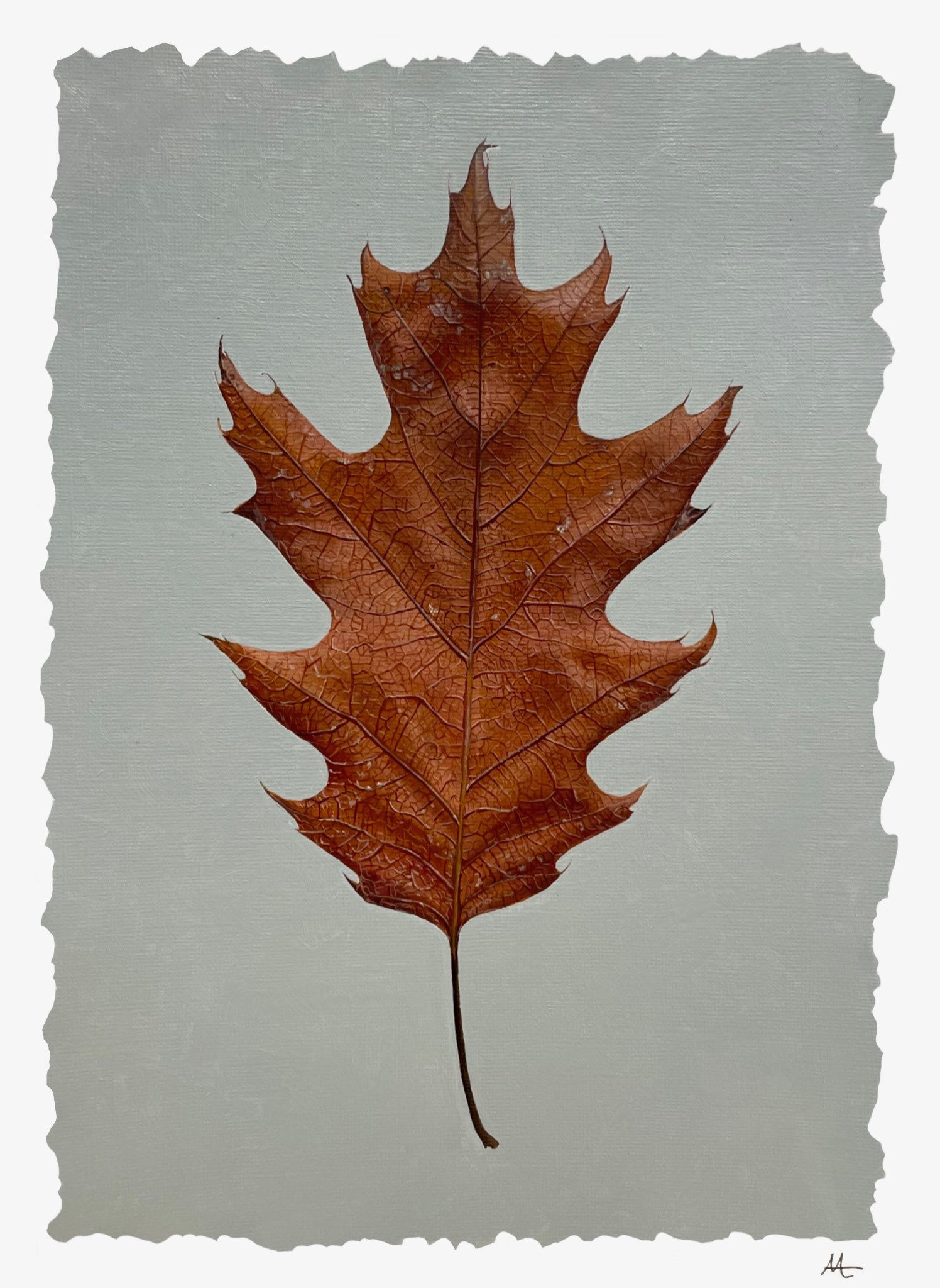 Oak Leaf Print