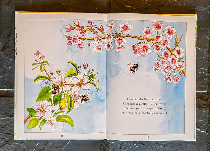 Au début vole une abeille - Aimee Gallagher ,  Jennie Webber  (Illustrator) ,  Emmanuelle 