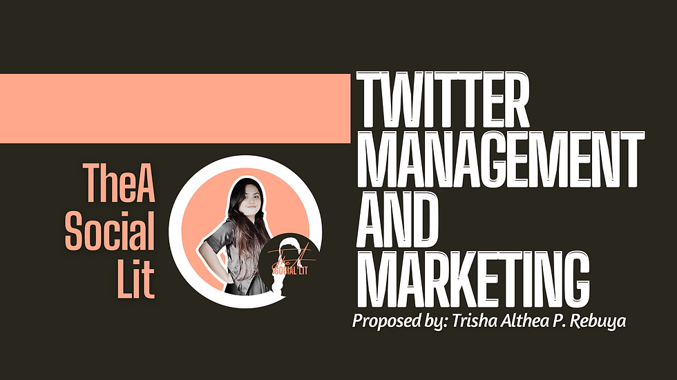 Twitter Management and Marketing Portfolio