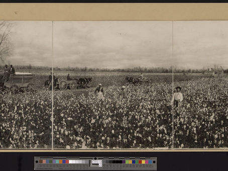 Slavery, forced labour, and migrations in the European empires (EN, FR)