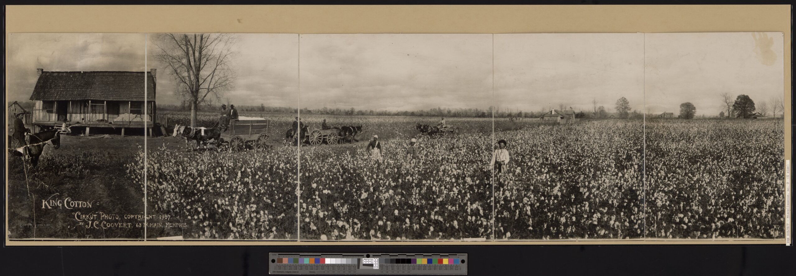 Atlantic slave trade Slave trade transatlantic history, slavery European empire