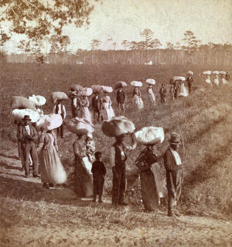 Atlantic slave trade Slave trade transatlantic history, slavery european colonies
