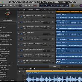 Language Truth & Logic sleeve front medium.jpg