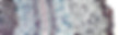 Rhizome_detail_MC_edited_edited.jpg