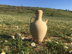 דניאל אפרים