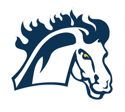 Mount Mercy University