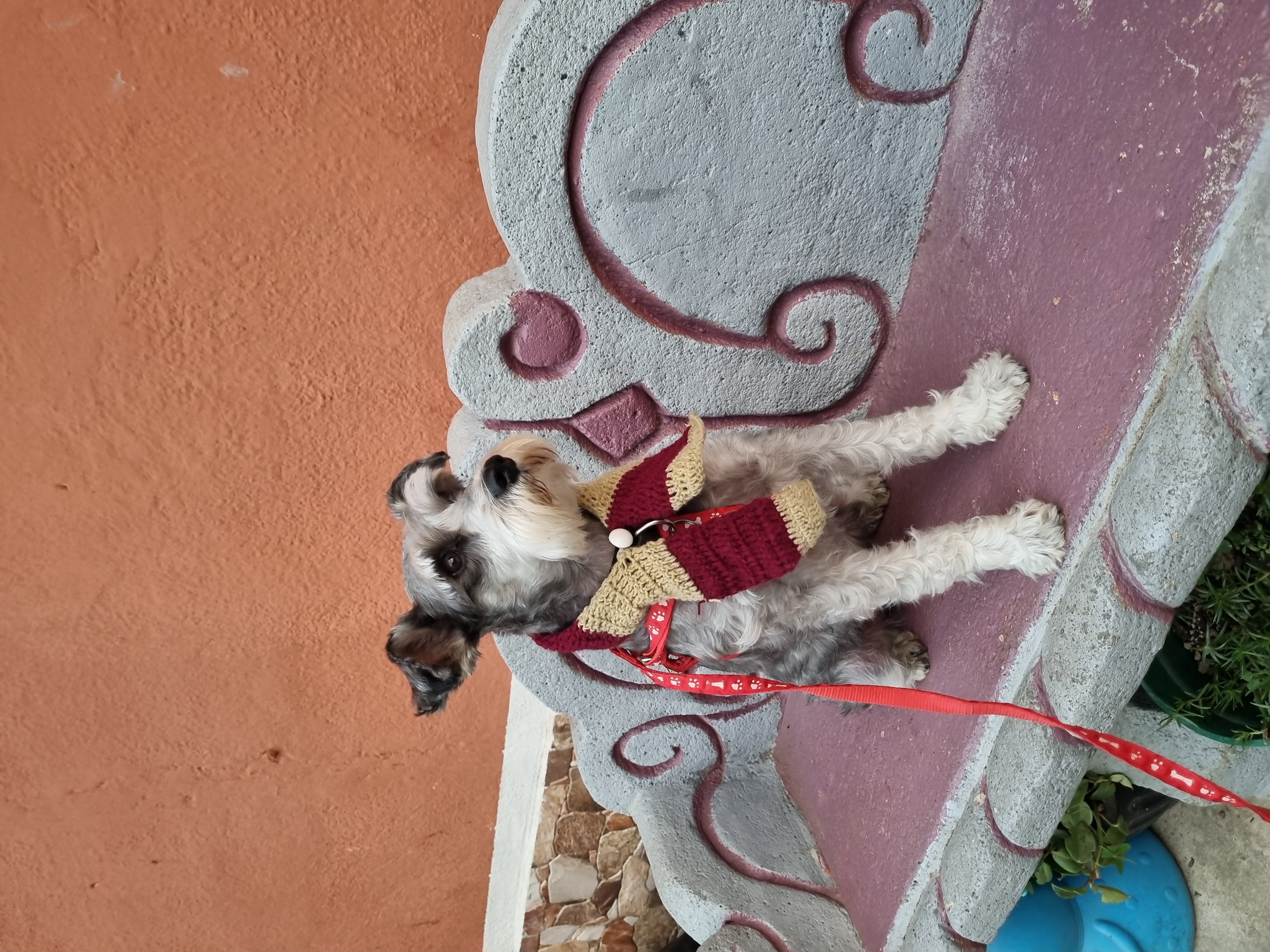 COCO