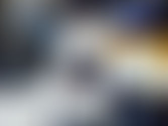 野良猫の侵入防止対策