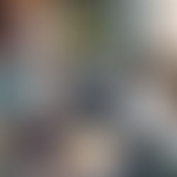 野良猫の捕獲!!