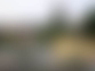 荷物移動・整理