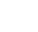 paws purple_edited_edited_edited.png