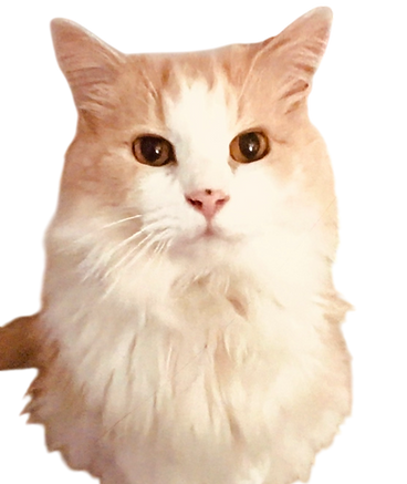 casper