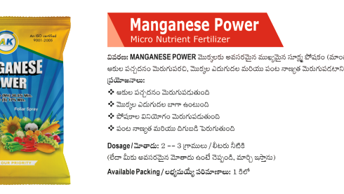 manganese P.png
