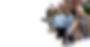 LP Geriatrics Banner 1.1.png