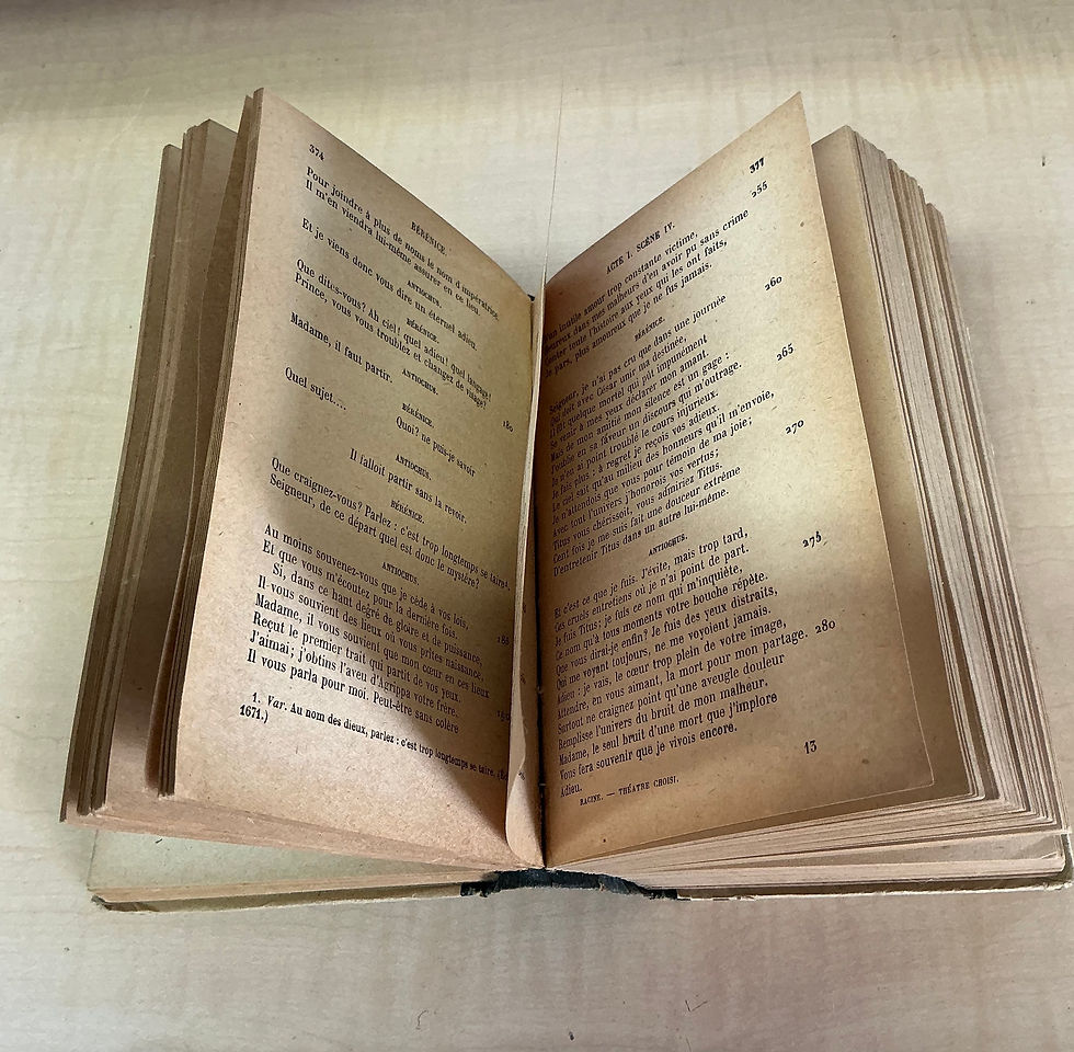Thumbnail: Antique French Book