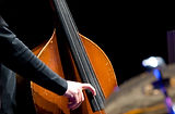 Double Bass Player 