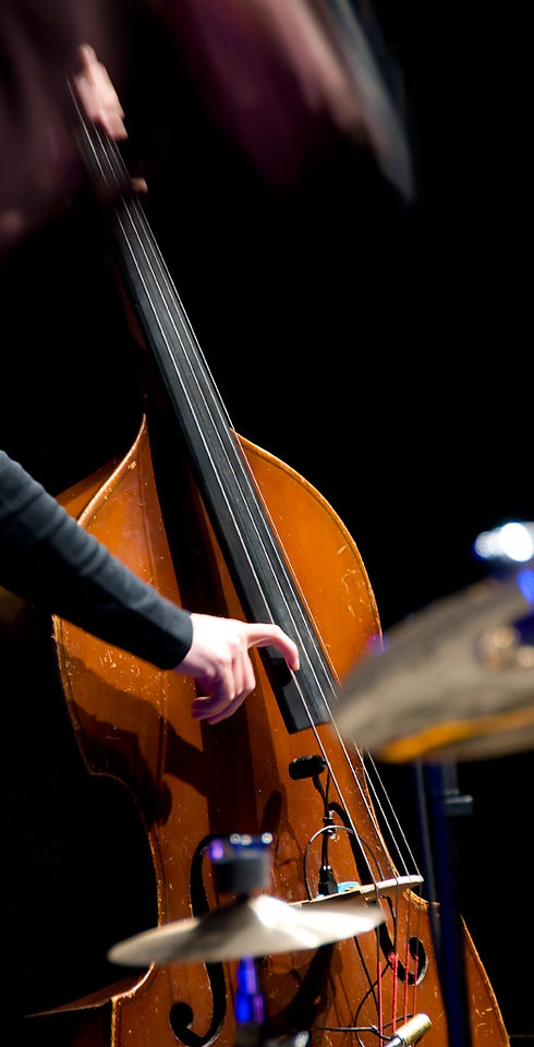 Double Bass Player