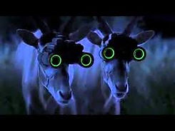 Geico night vision (1).jpeg