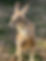 IMG_5892.DNG