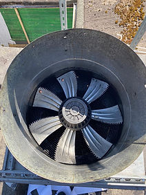 WhatsApp Image 2020-06-04 at 14.00.49.jpeg