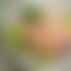 سلطه السالمون بالمشروم