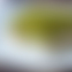 وصفة لتحضير ليالي لبنان بطريقة صحية