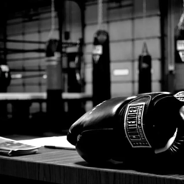 Home Nordic Warriors Boxing Academy