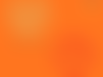 welcome to the year of the (fire) horse