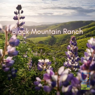 Lavender and hills at Black Mountain Ranch