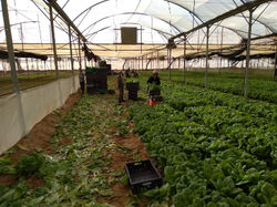 WhatsApp Image 2022-01-20 at 22.25.13