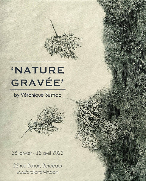 POSTER Peau d'arbre WINDOW 1.jpeg