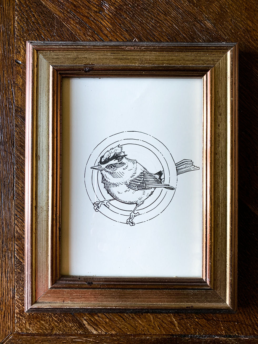 Thumbnail: Picor - Dessins Originaux (Dans les cadres bois foncé) '