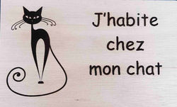 J'habite chez mon chat
