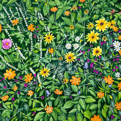 Late Summer Flowers