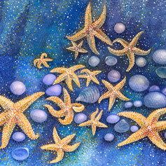 Stargazing