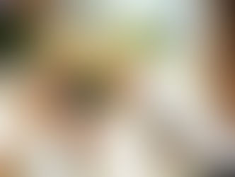 新手插花基礎入門