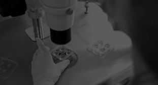 embryologist-examines-the-biomaterial-co