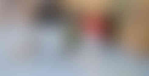 2. Spiel und 2. Sieg für die Herren des HC Hohenems