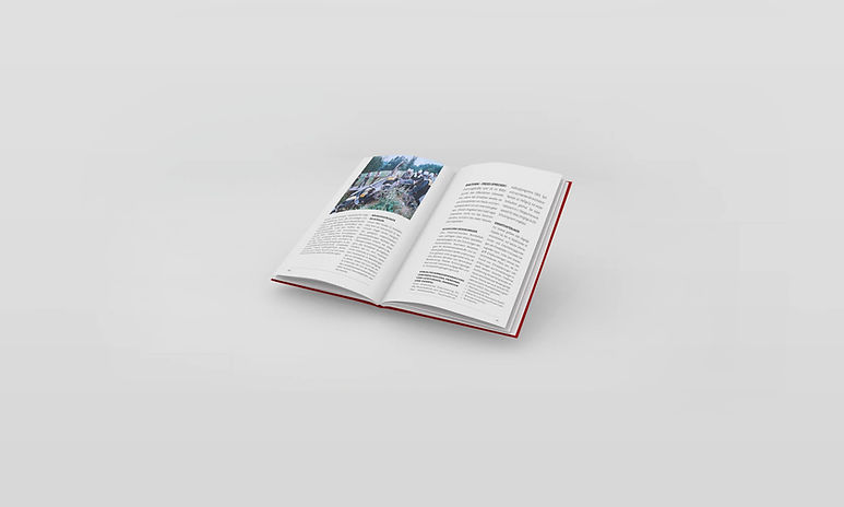 Steifen-Buchmockup2.jpg