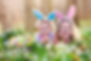 Manon CHERASSE avocat, avocat de l'enfant, avocat divorce, avocat divorce clermont, bon avocat, avocat specialiste, avocat conjugal, avocat matrimonial, meilleur avocat clermont, avocat victime clermont,