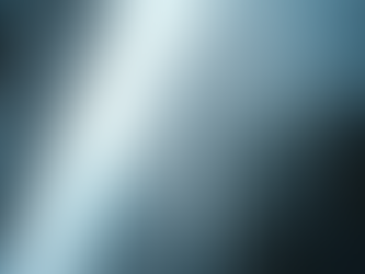 Xperts Inc.: Your Partner in Executive Hiring Solutions Canada