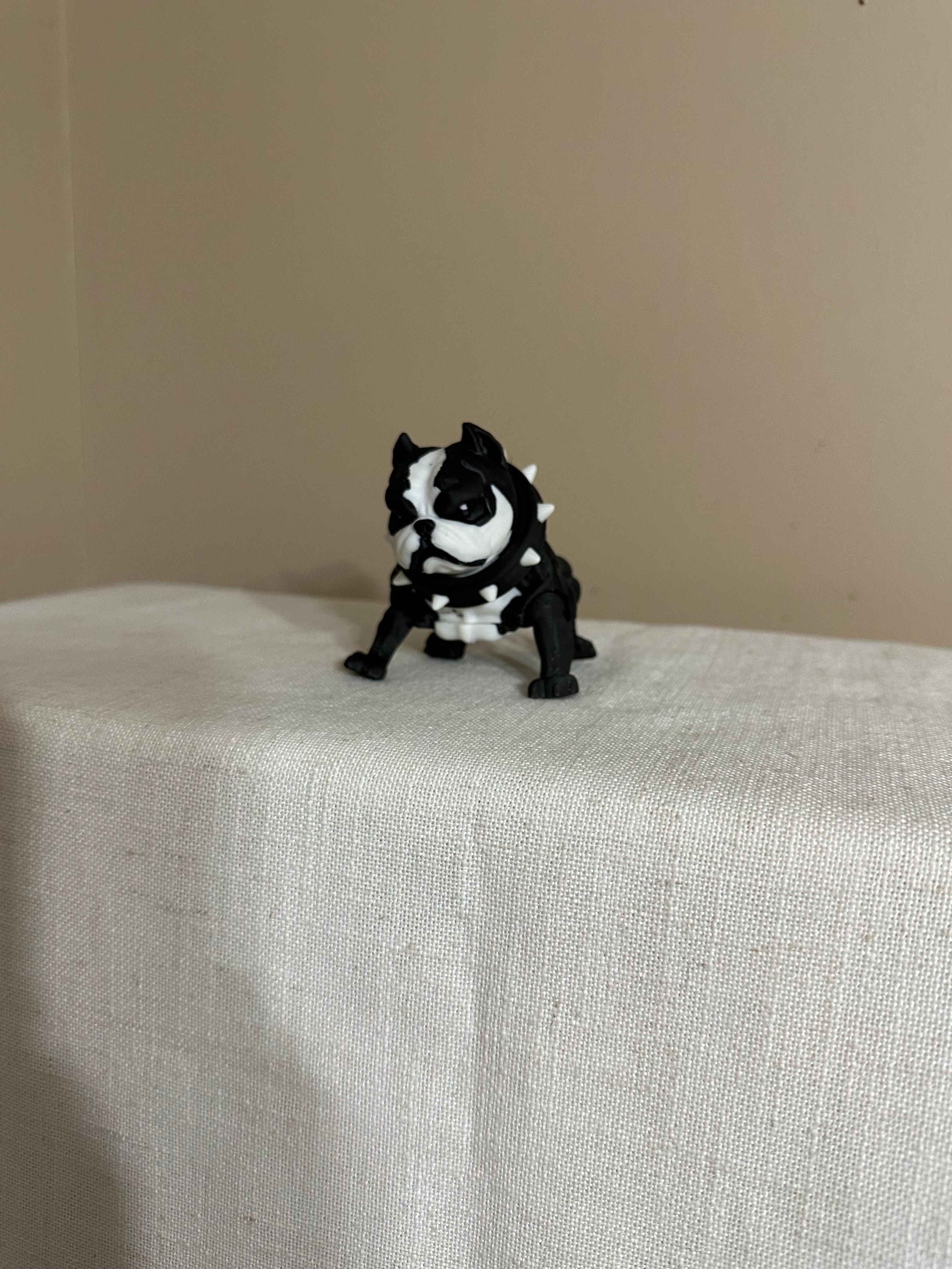 Cute French Bulldog Model