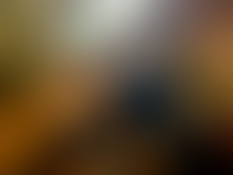 December at The Brockholes Arms