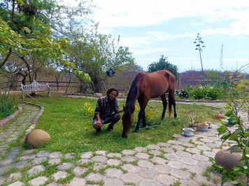 CENTRO ECOLÓGICO
PLAYAS DE VILLAMIL