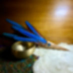 Macaw tail parrot feather fan at metaphysical crystal shop